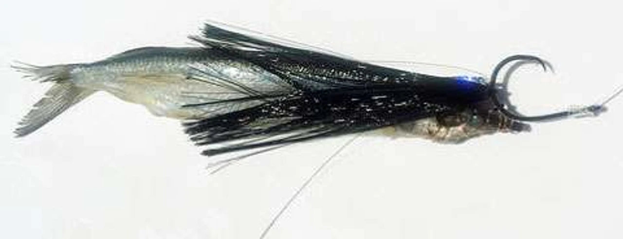 Fish DownSea 5in Party Hats Lures