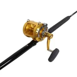 Avet EXW 50/2 Gold / TackleDirect Platinum Hook Standup Combo