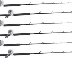 Shimano Talica TAC20BFC / TackleDirect Platinum Hook White Marlin Package W/ 6 Combos